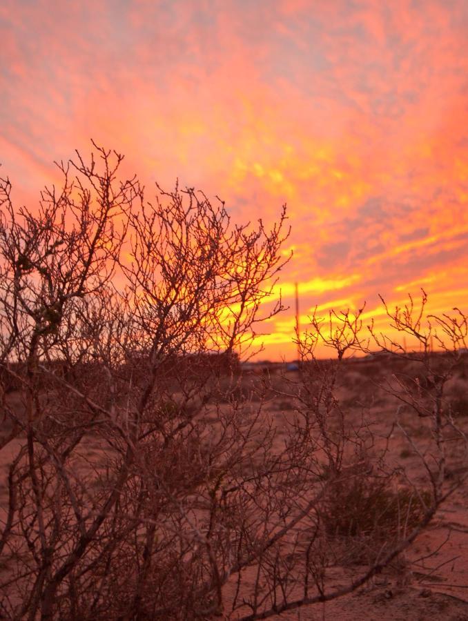 Tortoise Trail Lodge Langebaan Esterno foto